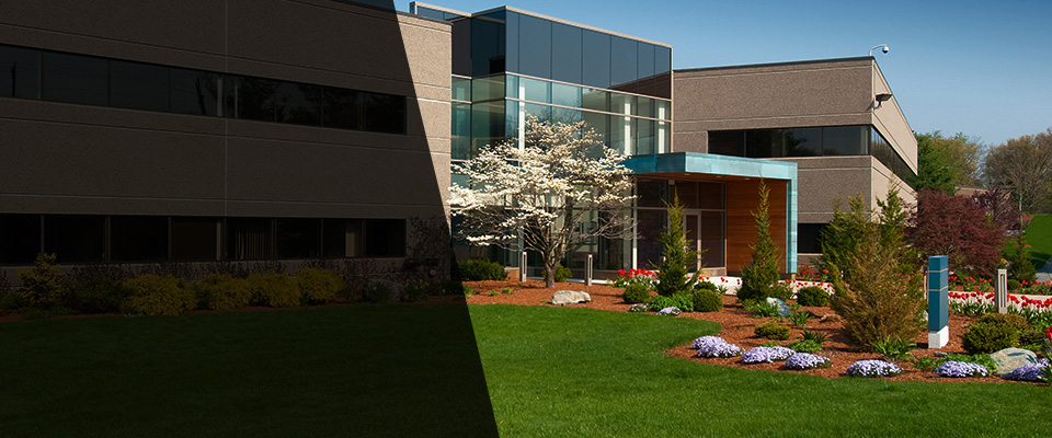 New Lexington Landscapers