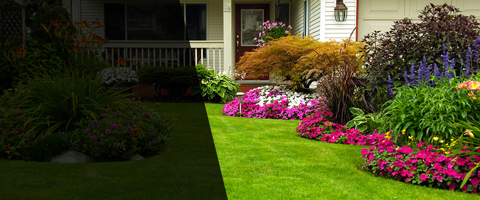 New Lexington Landscapers