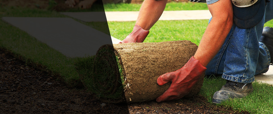 New Lexington Landscapers